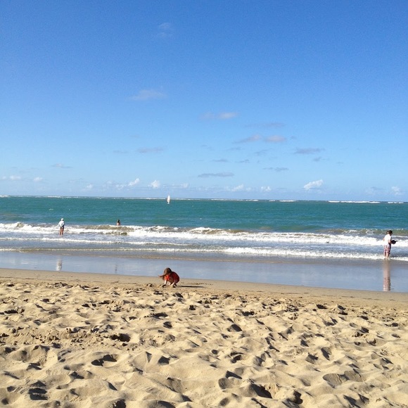 Meet your Posher, Kate - Picture 1 of 1